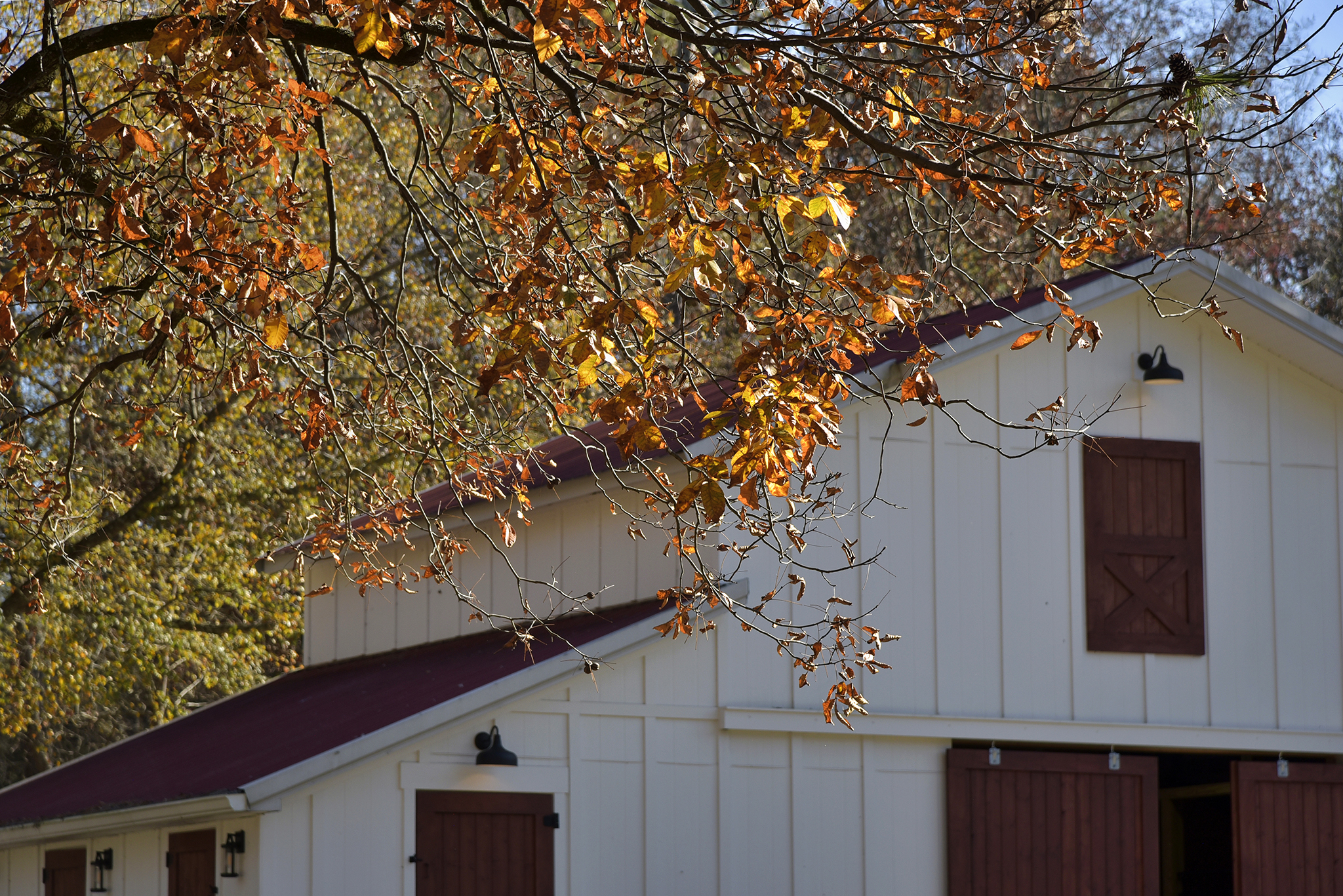 44 Farmhouse WEB 009B